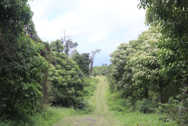 89-1190 Hawaii Belt Rd, Captain Cook, HI 96704 - photo 3