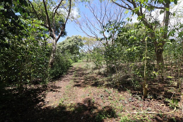 89-1190 Hawaii Belt Rd, Captain Cook, HI 96704 - photo 13