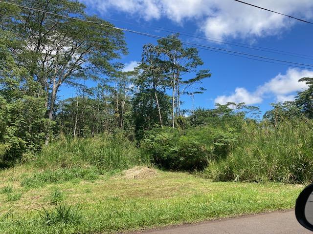 14-3547 Nanawale Blvd, Pahoa, HI 96778 - photo 10
