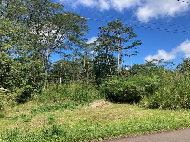 14-3547 Nanawale Blvd, Pahoa, HI 96778 - photo 11
