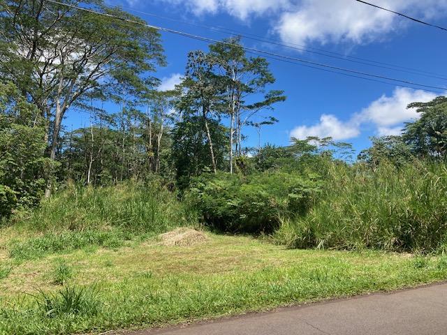 14-3547 Nanawale Blvd, Pahoa, HI 96778 - photo 12