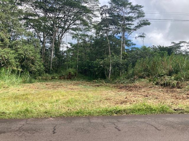14-3547 Nanawale Blvd, Pahoa, HI 96778 - photo 4