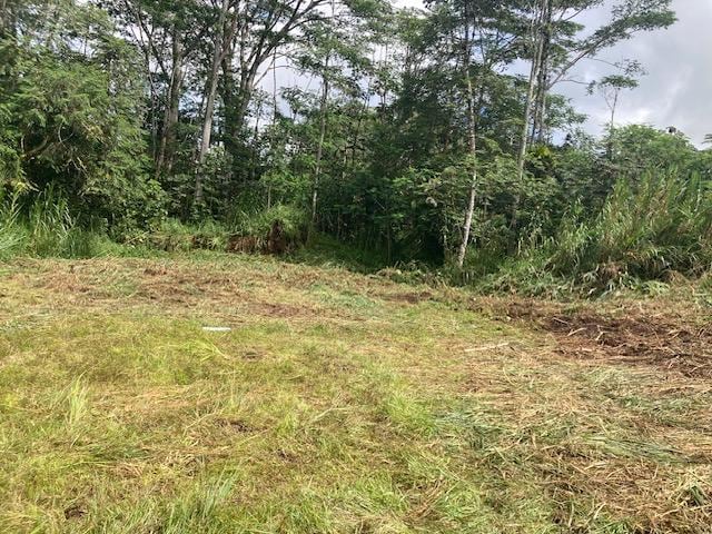 14-3547 Nanawale Blvd, Pahoa, HI 96778 - photo 5