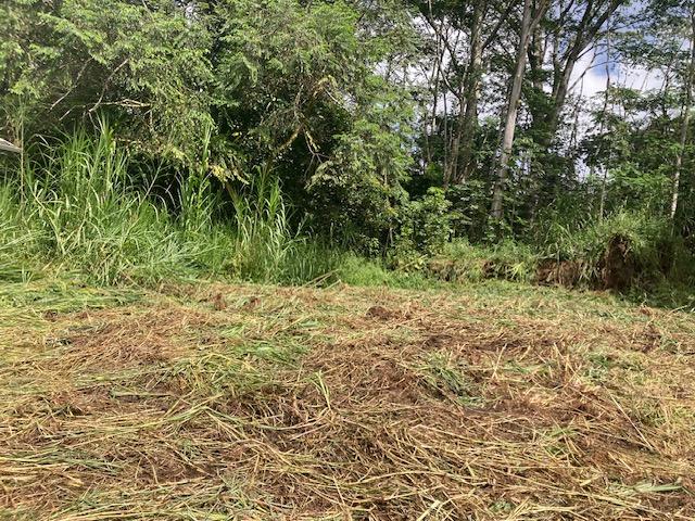 14-3547 Nanawale Blvd, Pahoa, HI 96778 - photo 6