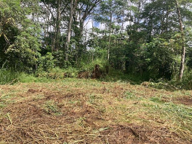 14-3547 Nanawale Blvd, Pahoa, HI 96778 - photo 7