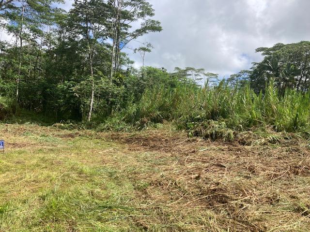 14-3547 Nanawale Blvd, Pahoa, HI 96778 - photo 8