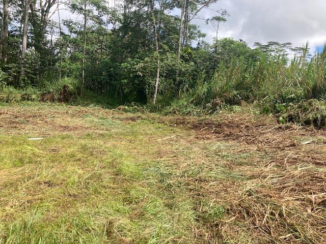 14-3547 Nanawale Blvd, Pahoa, HI 96778 - photo 9