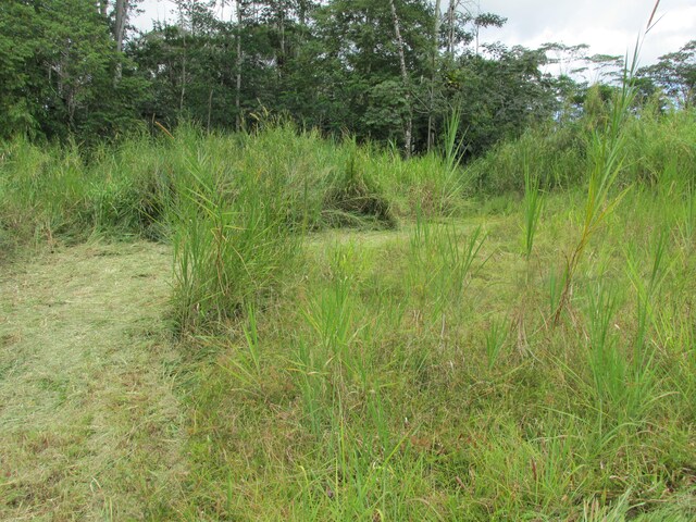 14-3547 Nanawale Blvd, Pahoa, HI 96778 - photo 3