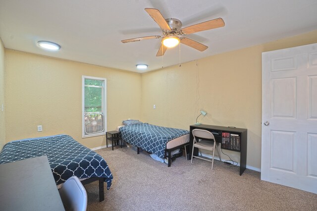 15-1702 13th Ave, Keaau, HI 96749 - photo 16