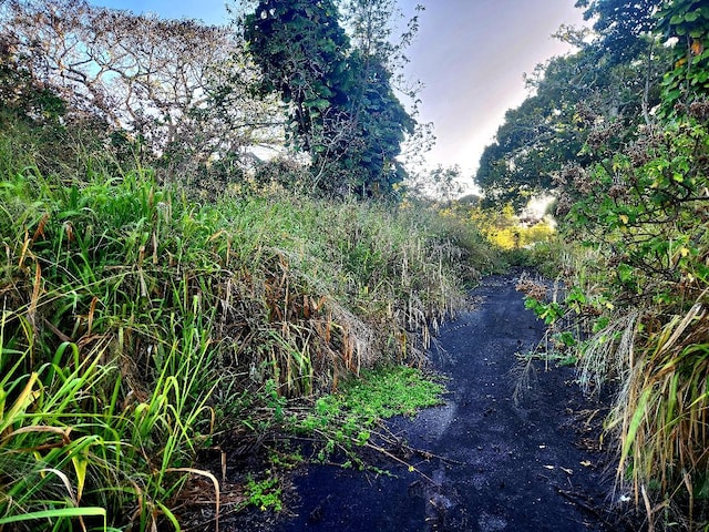81-6269 Mamalahoa Hwy, Captain Cook, HI 96704