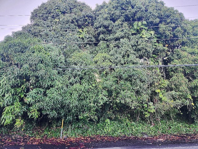 81-6242 Napoopoo Rd, Captain Cook, HI 96704 - photo 3