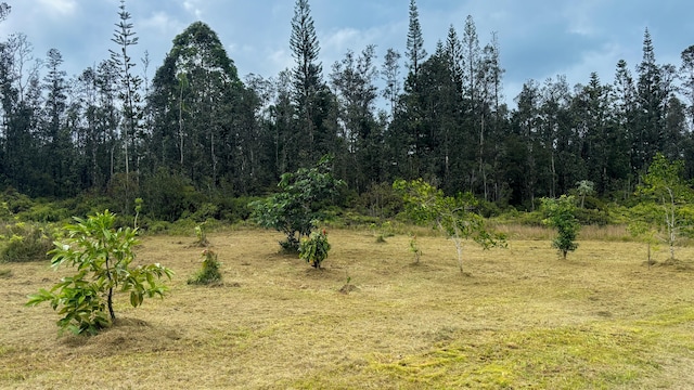 16-1955 Hopue Rd, Mountain View, HI 96760 - view of tree filled area