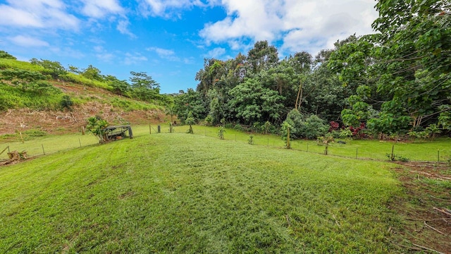 Hauiki Rd Unit 2, Kapaa, HI 96746 - photo 18
