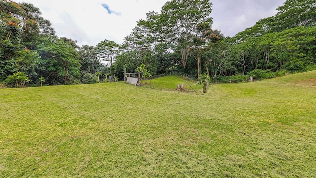 Hauiki Rd Unit 2, Kapaa, HI 96746 - photo 16