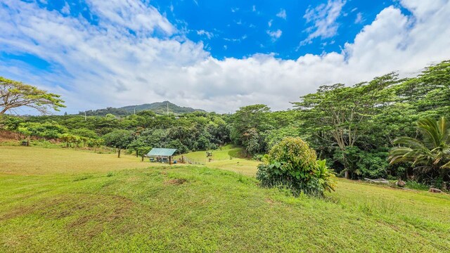 Hauiki Rd Unit 2, Kapaa, HI 96746 - photo 10