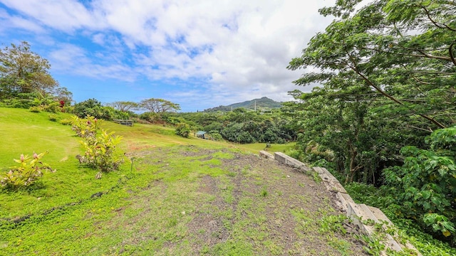 Hauiki Rd Unit 2, Kapaa, HI 96746 - photo 9