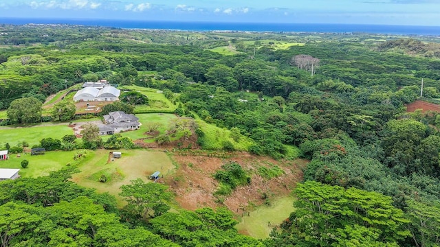 Hauiki Rd Unit 2, Kapaa, HI 96746 - photo 2
