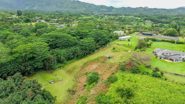 Hauiki Rd Unit 2, Kapaa, HI 96746 - photo 4