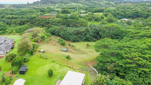 Hauiki Rd Unit 2, Kapaa, HI 96746 - photo 5