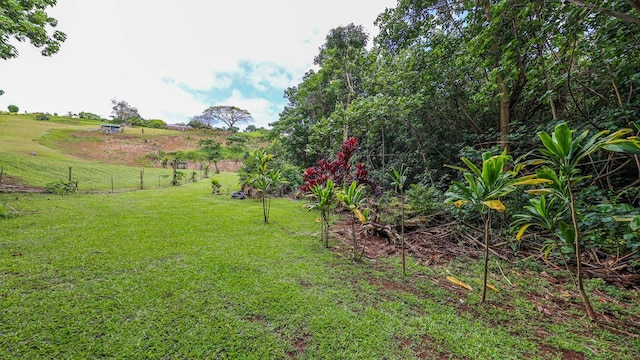 Hauiki Rd Unit 2, Kapaa, HI 96746 - photo 17