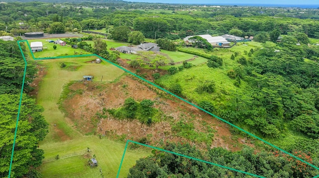 Hauiki Rd Unit 2, Kapaa, HI 96746 - photo 22