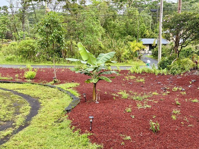 13-3605 Pomaikai St, Pahoa, HI 96778 - photo 17