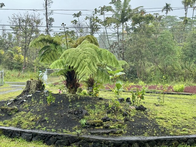 13-3605 Pomaikai St, Pahoa, HI 96778 - photo 18