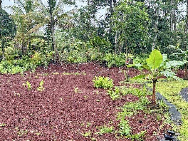 13-3605 Pomaikai St, Pahoa, HI 96778 - photo 19