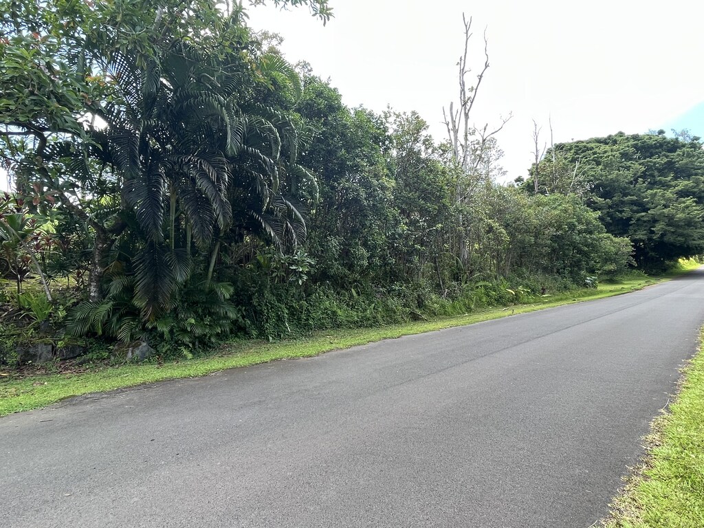 N Pomaikai St, Pahoa, HI 96778 - photo 2