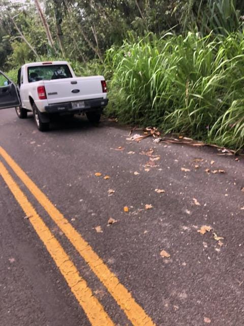 Puni Makai Loop, Pahoa, HI 96778 - photo 4