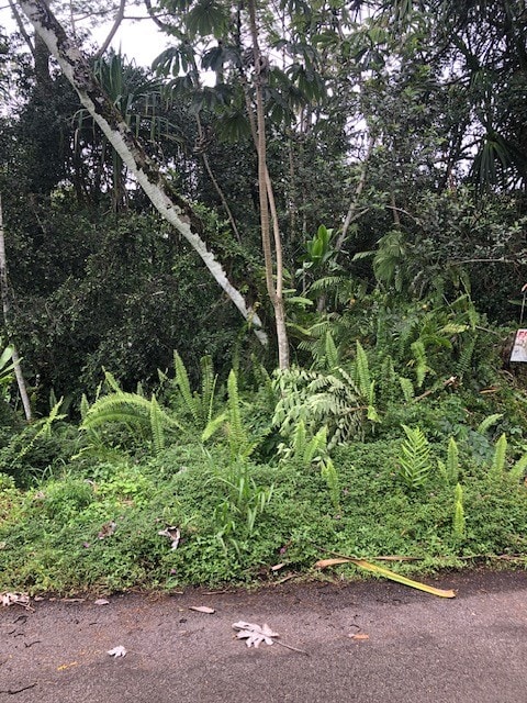 Puni Makai Loop, Pahoa, HI 96778 - photo 5