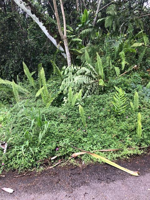 Puni Makai Loop, Pahoa, HI 96778 - photo 8