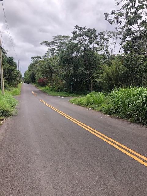 Puni Makai Loop, Pahoa, HI 96778 - photo 10