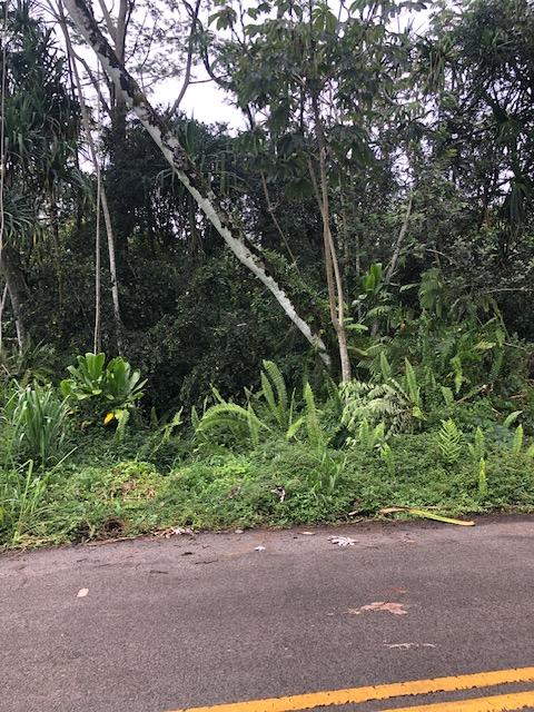 Puni Makai Loop, Pahoa, HI 96778 - photo 11