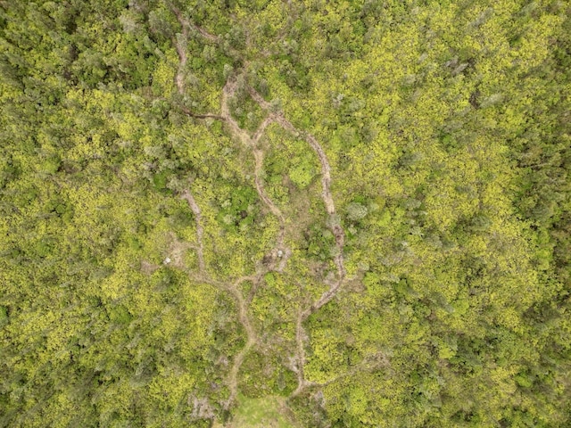 16-1824 Hopue Rd, Mountain View, HI 96760 - view of property location