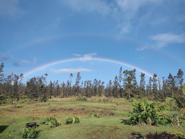 16-1824 Hopue Rd, Mountain View, HI 96760 - view of local wilderness