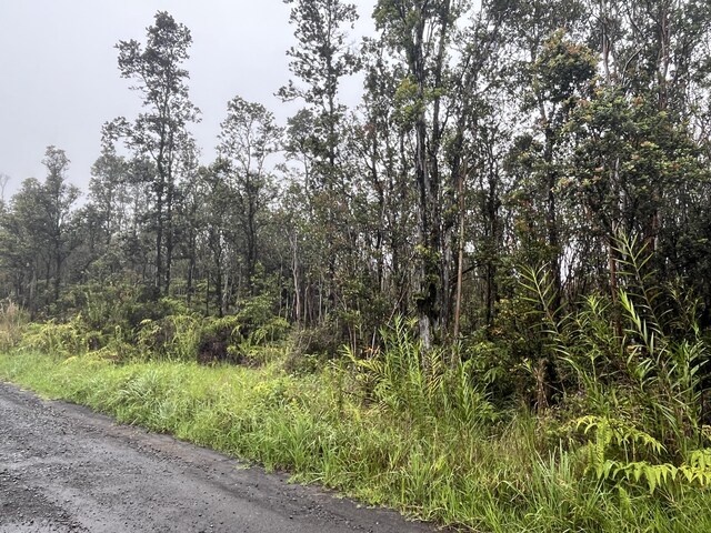 Leila Rd, Volcano, HI 96785