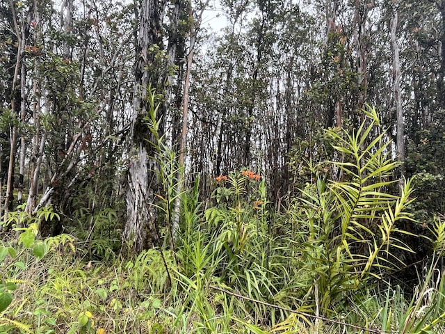 Leila Rd, Volcano, HI 96785