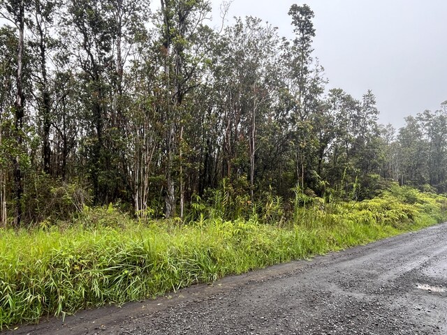Leila Rd, Volcano, HI 96785