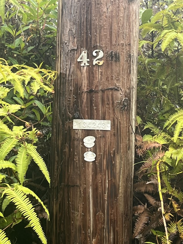 Leila Rd, Volcano, HI 96785