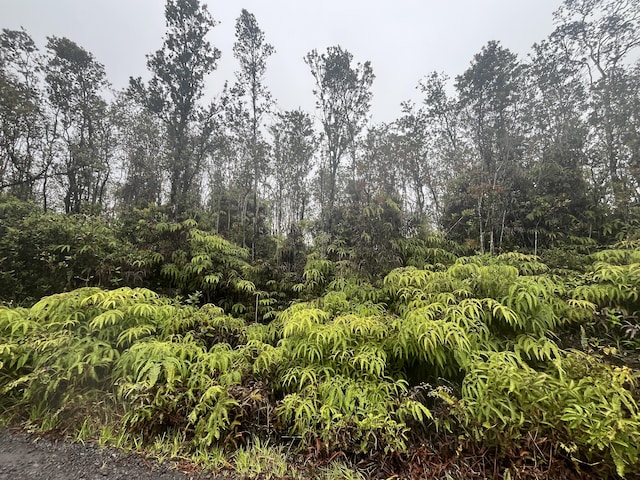 Leila Rd, Volcano, HI 96785