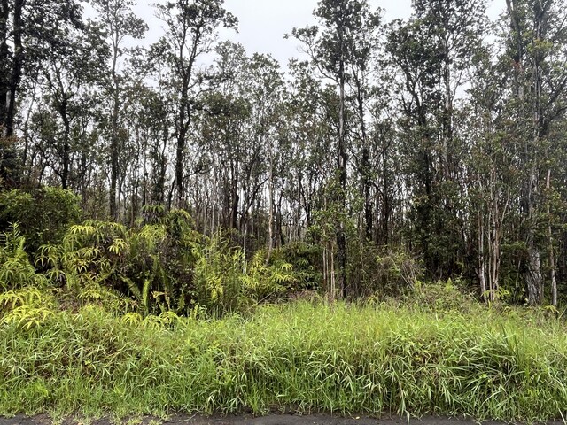 Leila Rd, Volcano, HI 96785