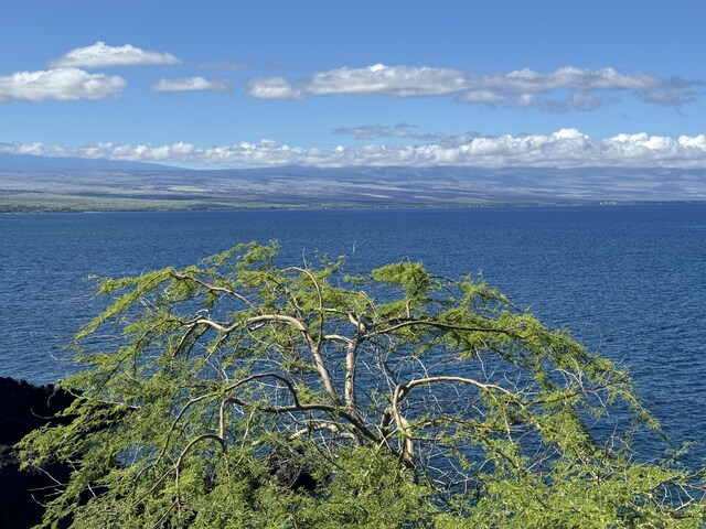 59-111 Pakuikui Pl, Kamuela, HI 96743 - photo 13
