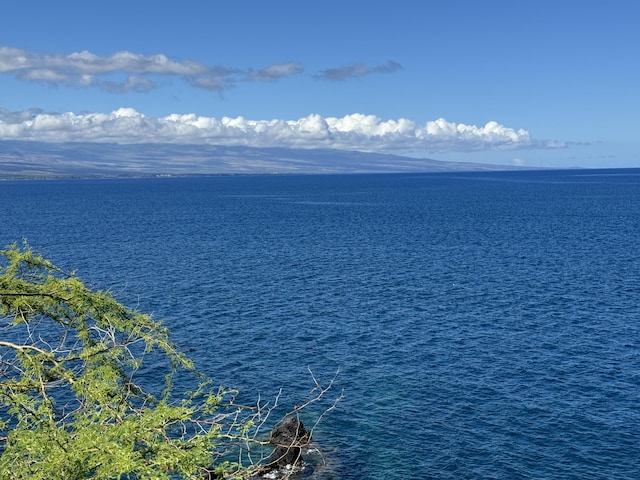 59-111 Pakuikui Pl, Kamuela, HI 96743 - photo 14