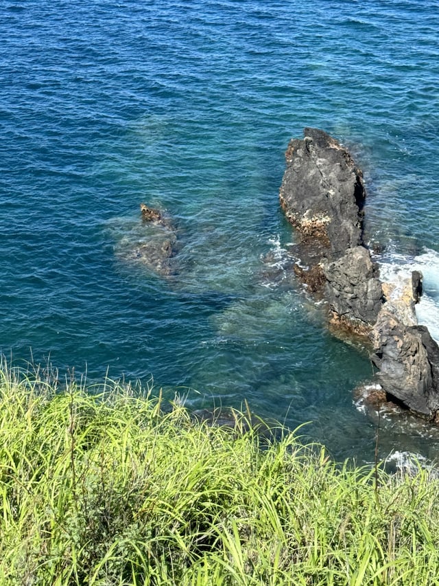 59-111 Pakuikui Pl, Kamuela, HI 96743 - photo 16