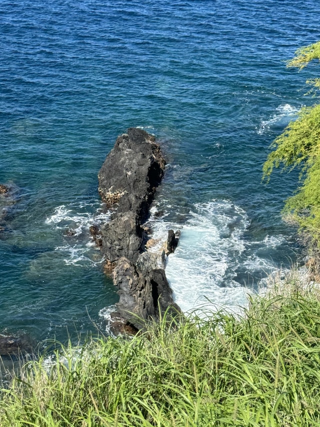 59-111 Pakuikui Pl, Kamuela, HI 96743 - photo 19