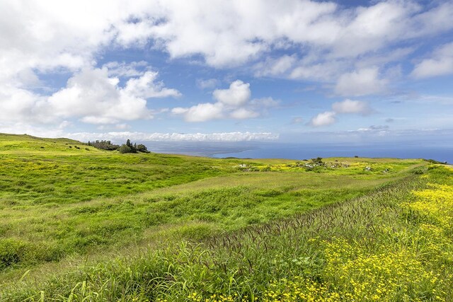 59-190 Mala Pl, Kamuela, HI 96743 - photo 6