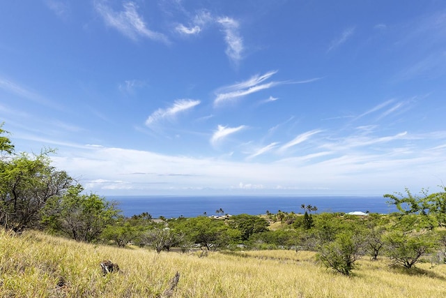 59-190 Mala Pl, Kamuela, HI 96743 - photo 7