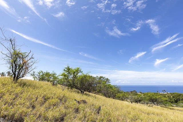 59-190 Mala Pl, Kamuela, HI 96743 - photo 9
