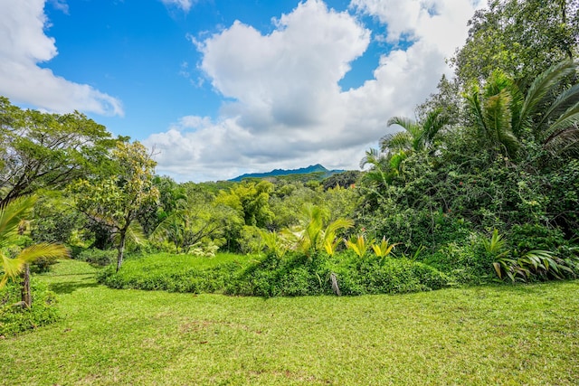 4875-J Kapaka St Unit 13D, Princeville, HI 96722 - view of mountain backdrop